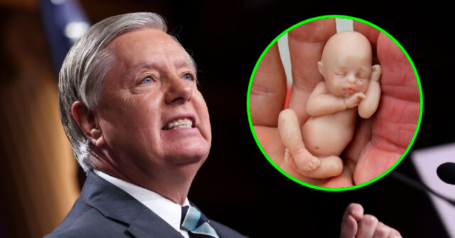 Sen. Graham Introduces 15-Week Pain-Capable Abortion Ban