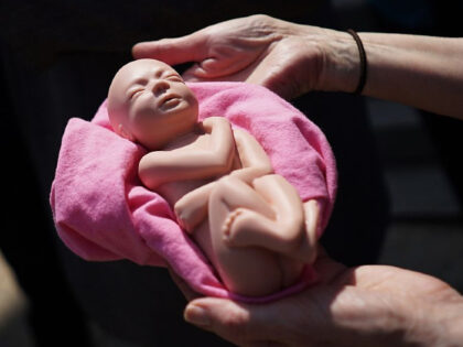 An anti-abortion activist holds a model of a fetus during a protest outside of the Longwor