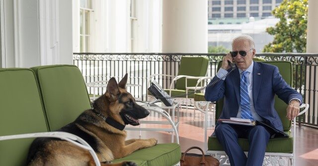 'Incoherent Tirade': Joe Biden Mocked for Morning Joe Phone Interview