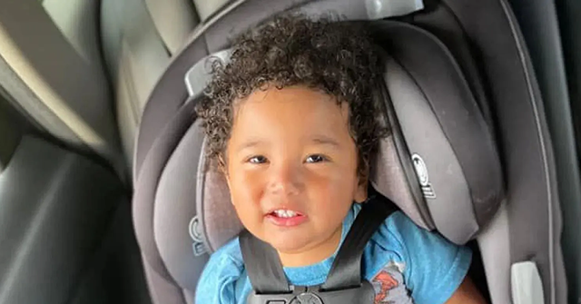 Boy, 3, Dies After Allegedly Pushed by Aunt Off Chicago's Navy Pier