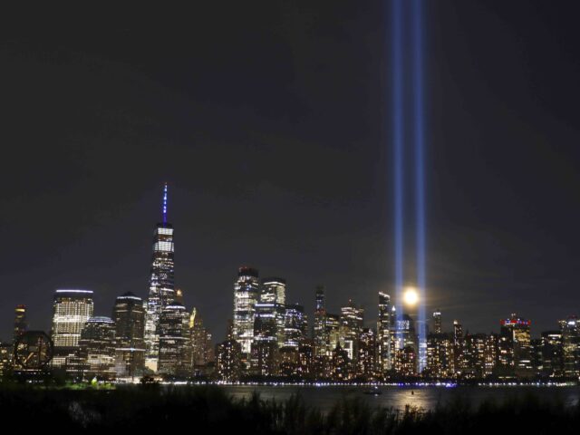 Moon Tribute in Light (Gary Hershorn / Getty)