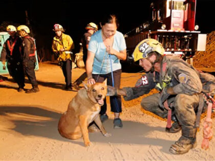 California Firefighters Rescue Blind Dog Trapped in 15-Foot Hole at Construction Site
