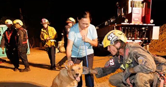 California Firefighters Rescue Blind Dog Trapped in 15-Foot Hole
