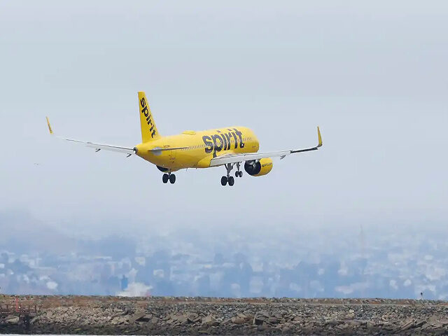 OAKLAND, CALIFORNIA - JULY 28: A Spirit Airlines plane lands at Oakland International Airport on July 28, 2022 in Oakland, California. JetBlue Airways announced plans to purchase low-cost airline Spirit Airlines, a merger that would create the U.S.'s fifth-largest airline. (Photo by Justin Sullivan/Getty Images)