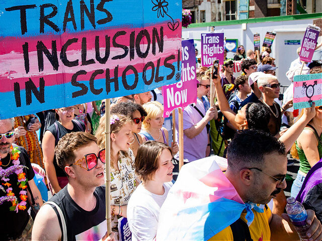 Thousands of people take part in a London Trans+ Pride march from the Wellington Arch to S