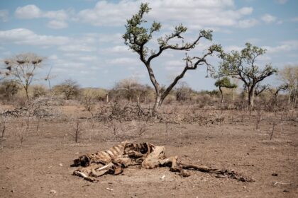 The UN warned last month that the drought gripping the Horn of Africa was now likely to ex