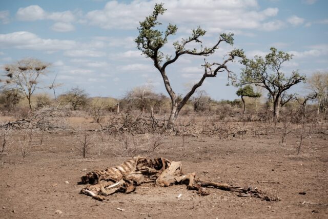The UN warned last month that the drought gripping the Horn of Africa was now likely to ex