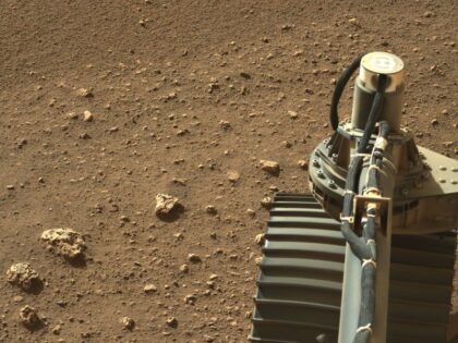 NASA Mars Rover's rock samples to be studied for signs of life