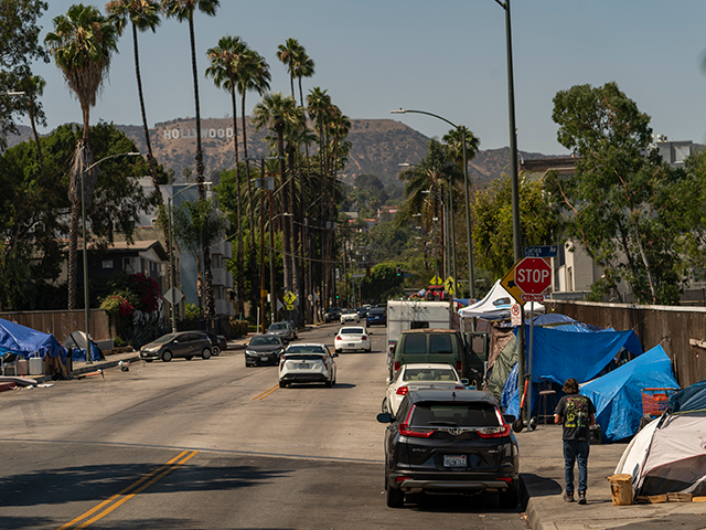 Homeless encampments are installed on an overpass of the CA-101 Hollywood freeway in Los A