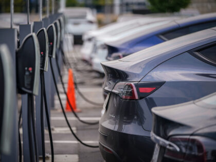 FILE - A group of Tesla cars line up at charging stations at a dealership in Littleton, Co
