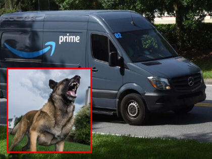 An Amazon Prime delivery van is seen after leaving a distribution center on July 14, 2019