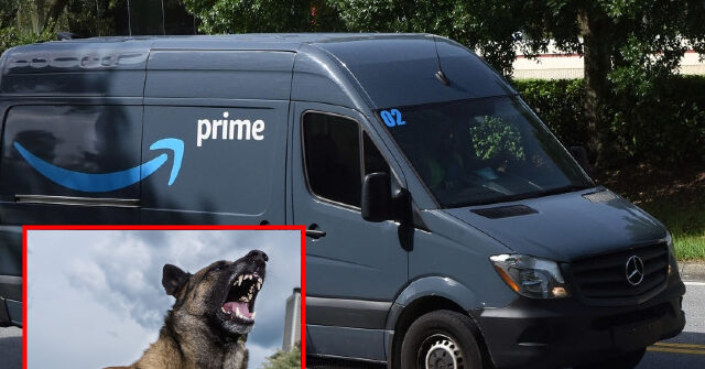 Sheriff: Missouri Amazon Driver Dead Following Apparent Dog Attack - Vimarsana News