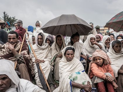 People who fled the war from May Tsemre, Addi Arkay and Zarima gather around in a temporarily built internally displaced people (IDP) camp to receive their first bags of wheat from the World Food Programme (WFP) in Debark, 90 kilometres of the city of Gondar, Ethiopia, on September 15, 2021. …