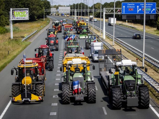 Farmers drive their tractors on the A35 motorway as they protest against the nitrogen plans causing delays due to the slow-moving of their vehicles near Bornerbroek, on July 28, 2022. - - Netherlands OUT (Photo by Sem van der Wal / ANP / AFP) / Netherlands OUT (Photo by SEM …