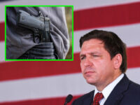 Ron DeSantis Warns Would-Be Looters: 'We're a 2nd Amendment State'