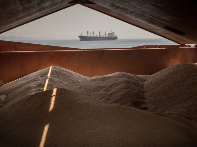 ISTANBUL, TURKEY - AUGUST 18: Piles of grain are seen on board the Osprey S vessel anchore