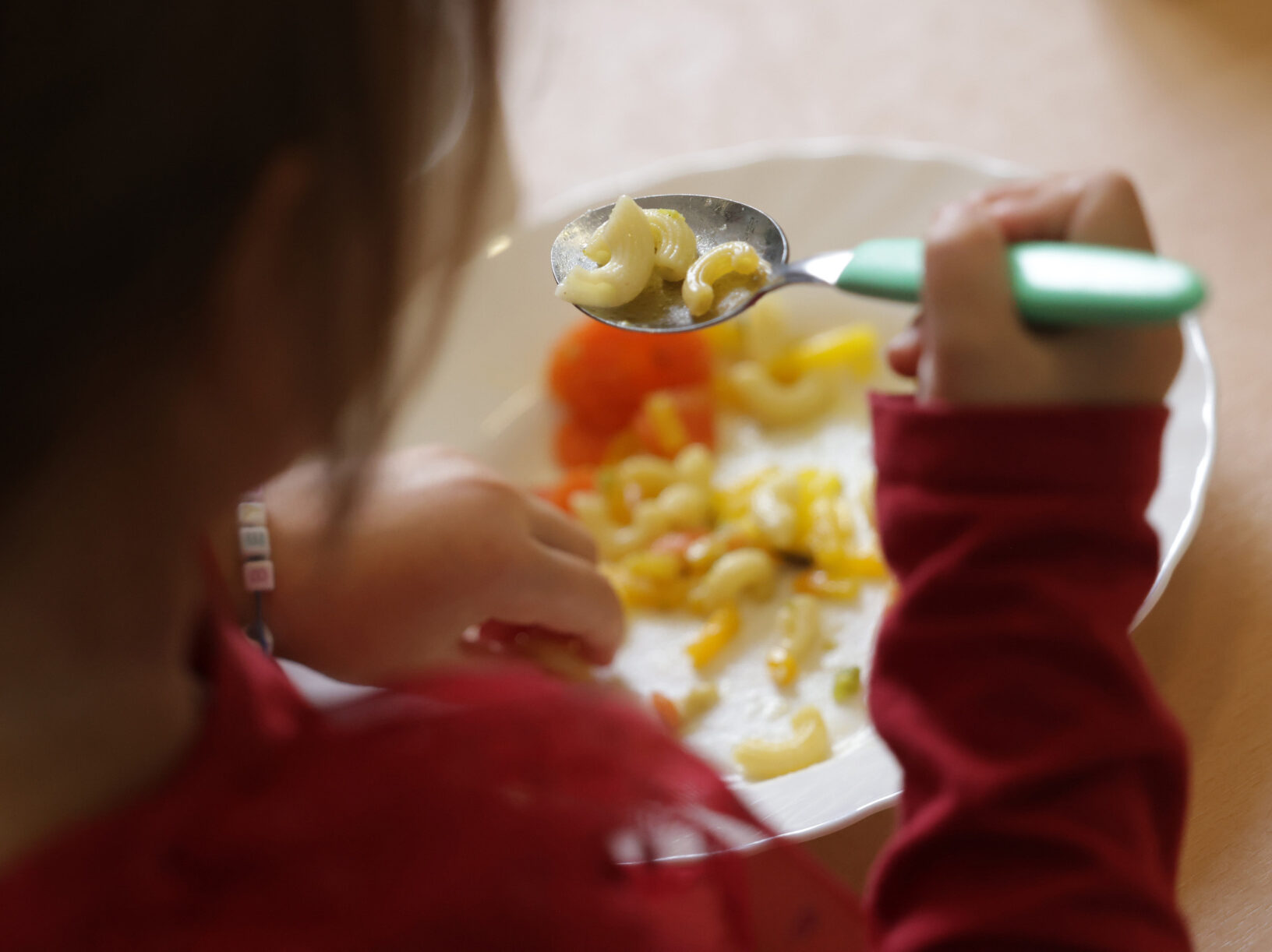 Great Reset: German City to Force Meatless Meals on School Children - Vimarsana News