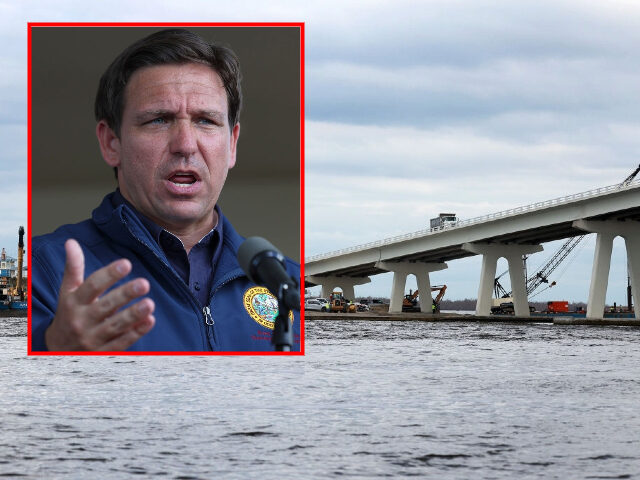 CAPE CORAL, FLORIDA - OCTOBER 04: Florida Governor Ron DeSantis speaks during a press conf