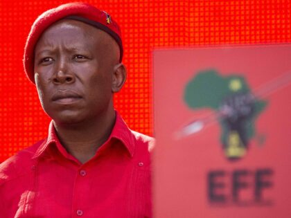 Julius Malema EFF (Waldo Swiegers / Bloomberg via Getty)