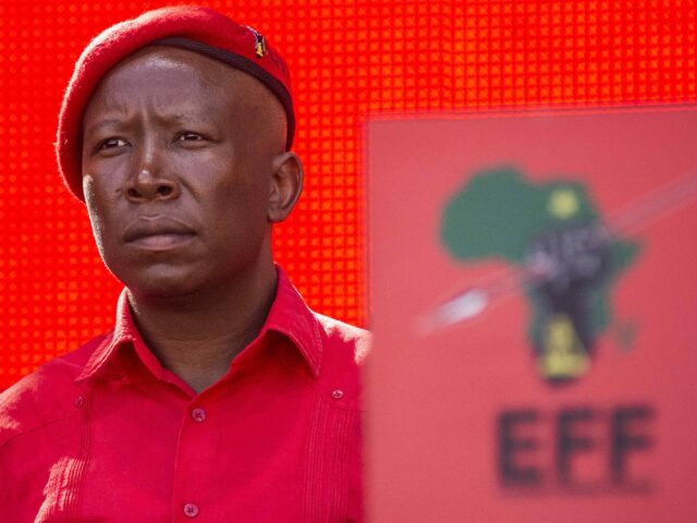 Julius Malema EFF (Waldo Swiegers / Bloomberg via Getty)