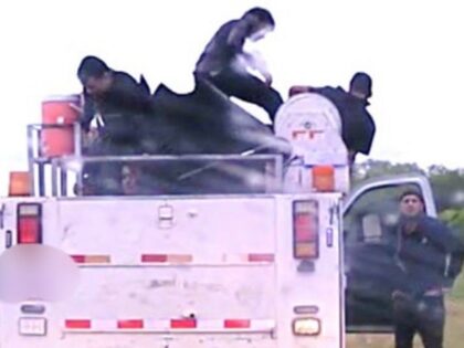 Migrants flee from smugglers work truck after being stopped by DPS troopers near Kingsville, Texas. (Texas Department of Public Safety)