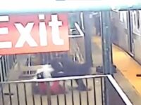 VIDEO: Man Stabbed in Random Attack at NYC Subway Station Dies