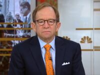 Fmr. Obama Official Rattner: Lack of Immigration Isn’t Hurting Job Market, There’s No Short