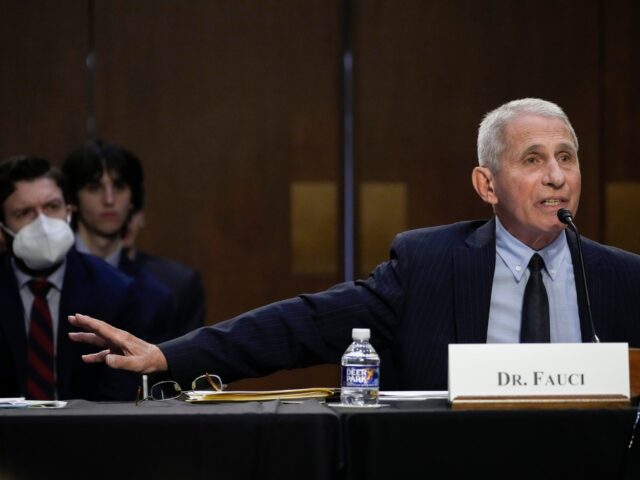 WASHINGTON, DC - SEPTEMBER 14: Dr. Anthony Fauci, director of the National Institutes of Allergy and Infectious Diseases, testifies during a Senate Committee on Health, Education, Labor and Pensions hearing about the federal response to monkeypox, on Capitol Hill September 14, 2022 in Washington, DC. The U.S. is working to …