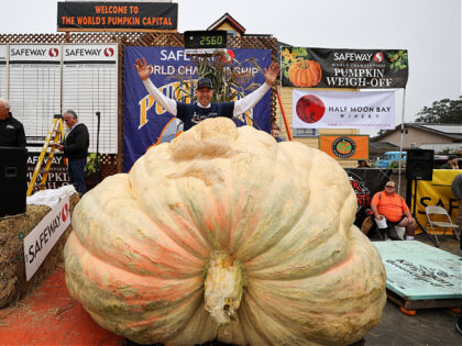 HALF MOON BAY, CA - OCTOBER 10: Travis Gienger from Anoka, Minnesota won with his giant pumpkin weighted 2,560 pound and breaks the North America record at the Safeway World Championship Pumpkin Weigh-Off as he gets $9 per pound (total $23,040), in Half Moon Bay, California, United States on October …