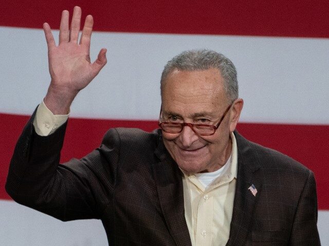 NEW YORK, NY - NOVEMBER 05: Senate Majority Leader Chuck Schumer (D-NY) speaks at a Get Ou