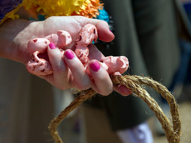 An anti-abortion activists holds plastic unborn fetuses during an event to "beat and hang" Senator Lindsey Graham's, R-SC, effigy for committing "ethical and political treachery against the babies of North Carolina, and the laws of God" on Capitol Hill in Washington, DC, July, 29, 2010. AFP PHOTO/Jim WATSON (Photo credit …