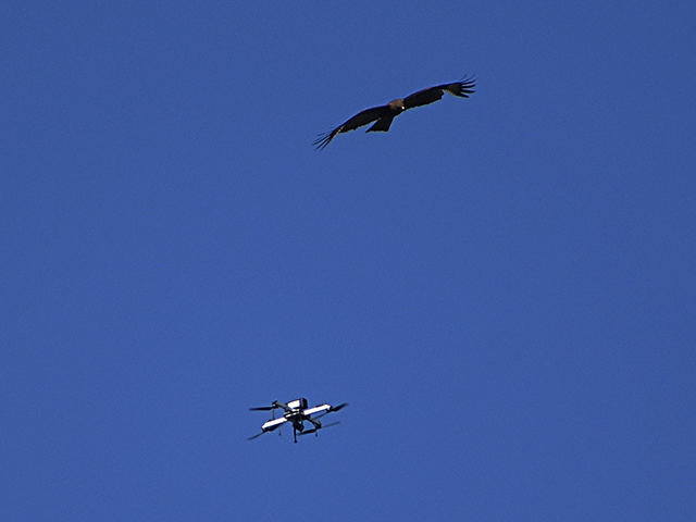 Indian Army Shows Off Birds of Prey Trained to Destroy Armed Drones - Vimarsana News
