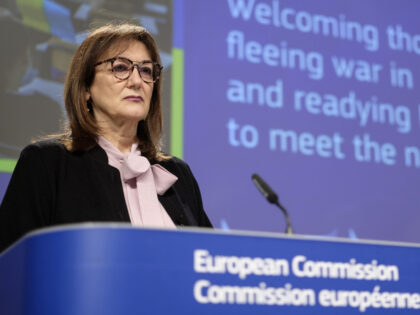 BRUSSELS, BELGIUM - MARCH 23: EU Commissioner for Democracy and Demography - Vice Presiden
