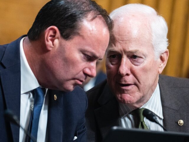 UNITED STATES - JUNE 15: Sens. Mike Lee, R-Utah., and John Cornyn, R-Texas, attend the Senate Judiciary Committee hearing titled “Protecting America’s Children From Gun Violence,” in Dirksen Building on Wednesday, June 15, 2022. (Tom Williams/CQ Roll Call)