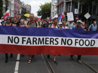 Dutch Govt Plans to Shut Down Up To 3,000 Farms