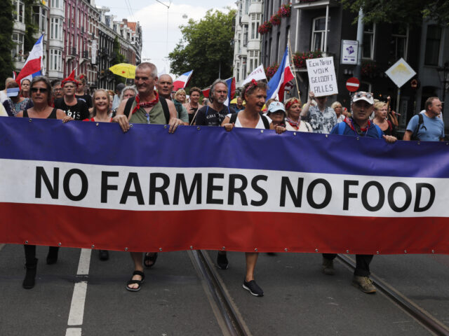 AMSTERDAM, the NETHERLANDS - JULY 23: Demonstrators attend a rally of the Netherland In Re