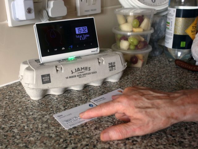 An energy customer examines the smart meter in her flat on the south London estate where s