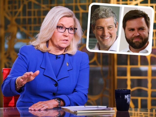 Liz Cheney Endorses Democrat Tim Ryan, Calls Nancy Pelosi ‘Tremendous Leader’