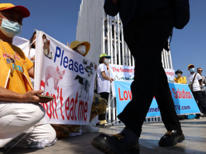Vegan activists carry placards as they demonstrate at the entrance of the Sharm El Sheikh International Convention Centre, in Egypt's Red Sea resort of the same name, on November 6, 2022, during the 2022 United Nations Climate Change Conference, more commonly known as COP27. - Diplomats from nearly 200 countries …