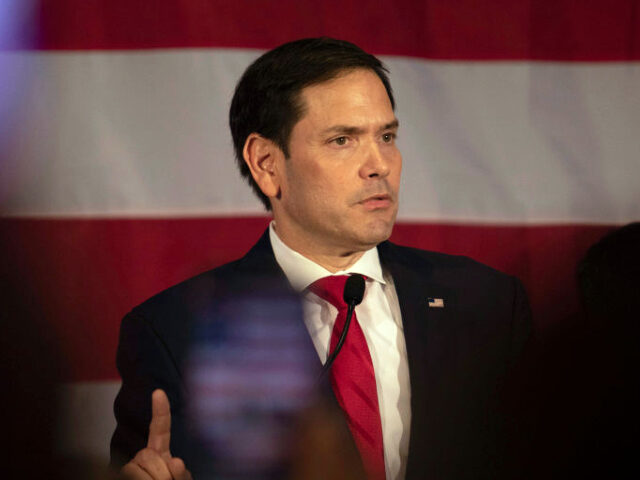 MIAMI, FLORIDA - NOVEMBER 06: U.S. Sen. Marco Rubio (R-FL) speaks during a rally before th