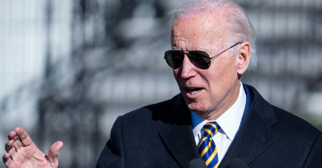 Joe Biden on Thanksgiving: Americans Purchasing Semi-Automatic Weapons Is 'Just Sick'