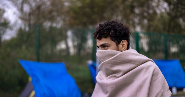 Migrant Crisis: Nearly 9 in 10 Britons Believe Govt is 'Performing Badly' - Vimarsana News