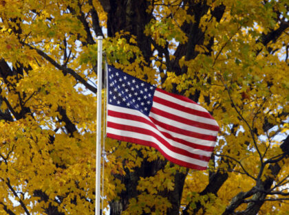 Vermont, fall foliage American flag with colorful yellow leaves. (Photo by: Education Images/Universal Images Group via Getty Images)