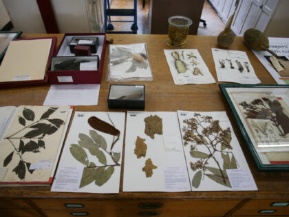 Plant samples, some hundreds of years old are on show at the Herbarium at Kew Gardens in south-west London on May 9, 2016. - Britain's Royal Botanic Gardens warned on May 10 about the threats facing the world's plant kingdom in the first global report of its kind aimed at …