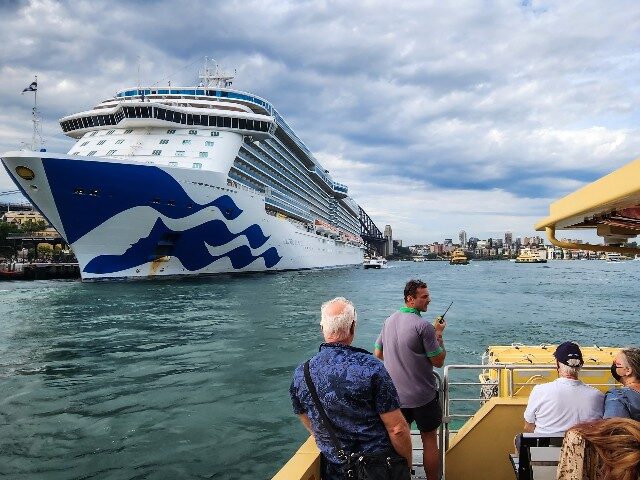 The cruise ship Majestic Princess is seen docked at Circular Quay on November 12, 2022 in