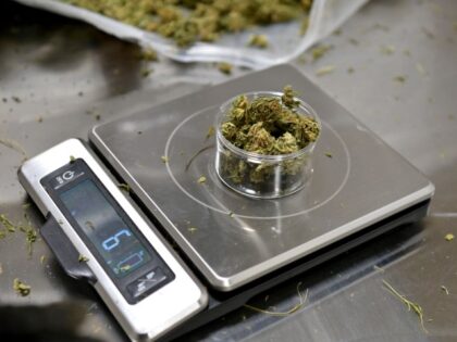 Hemp flower is weighed on a scale at Empire Standard, a hemp extract processing and distribution plant, on April 13, 2021 in Binghamton, New York. - New York's governor last month signed a law allowing its possession and use for adults aged 21 and older, and expanding its distribution for …