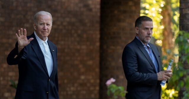 Activists Organize Multi-Million Dollar Operations to Defend Hunter Biden