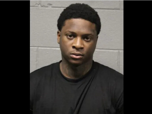 According to the Chicago Police Department (CPD), Pherris Harrington, 26, allegedly stole