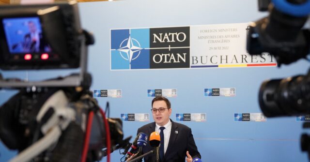 More, More, More: NATO Ministers Hear Call for Increased Ukraine Aid