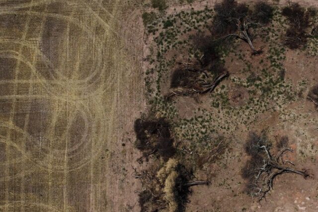 Aerial view of a deforested area of the Gran Chaco forest in northern Argentina near Juan